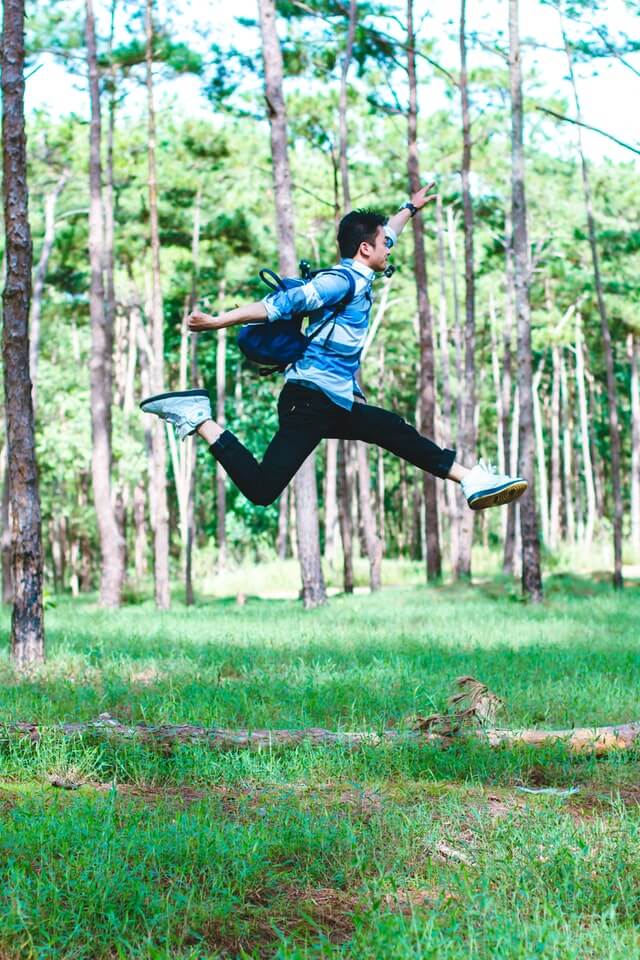 En ung fyr der hopper ude i en skov, med træer og græs i baggrunden
